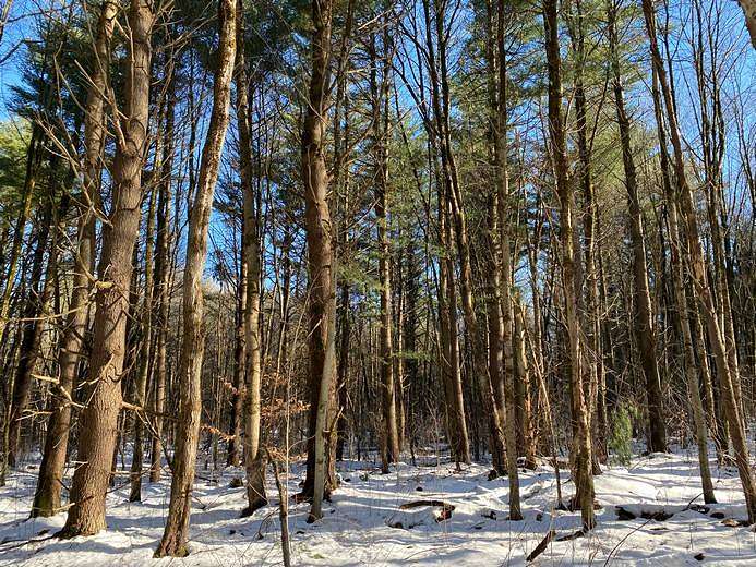 15 Acres of Recreational Land for Sale in Williamstown, New York