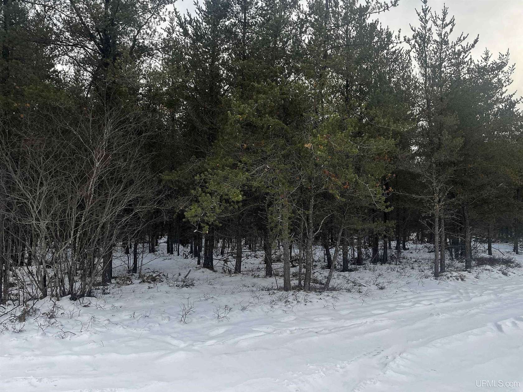 11 Acres of Recreational Land for Sale in Gwinn, Michigan