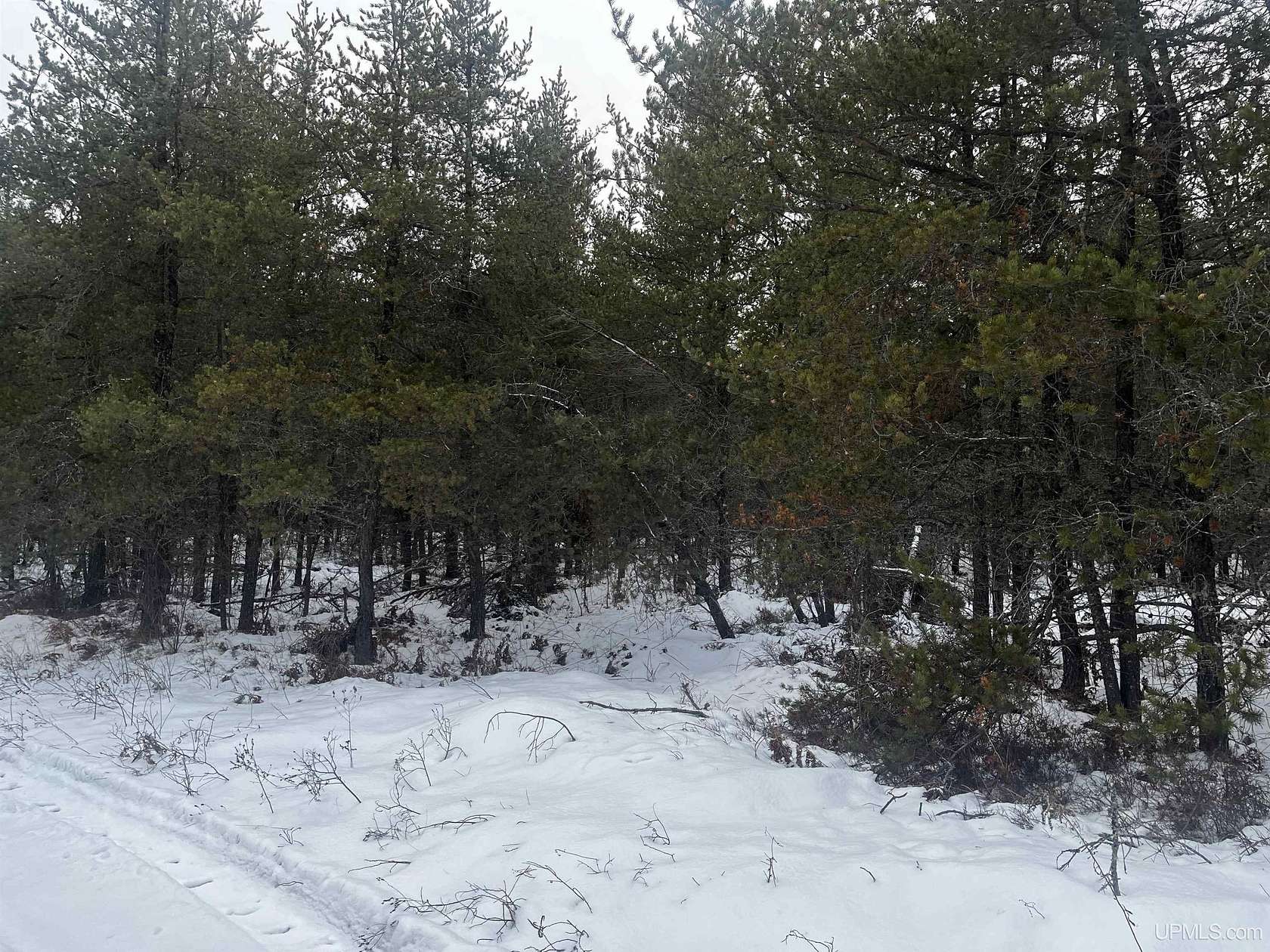 10 Acres of Recreational Land for Sale in Gwinn, Michigan