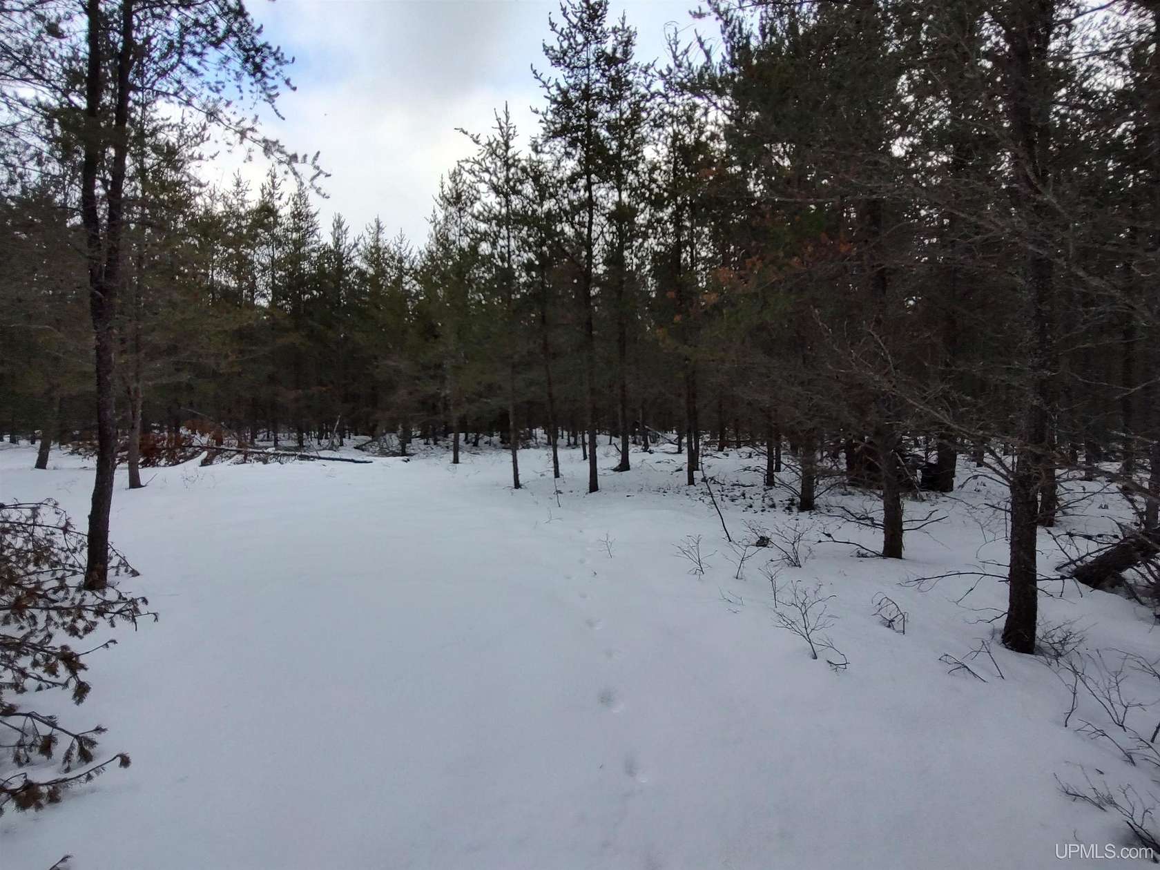 23 Acres of Recreational Land for Sale in Gwinn, Michigan