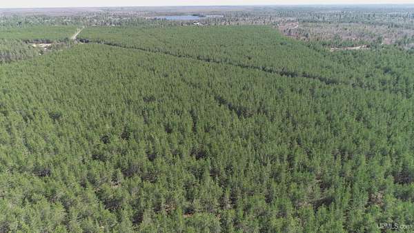 23 Acres of Recreational Land for Sale in Gwinn, Michigan