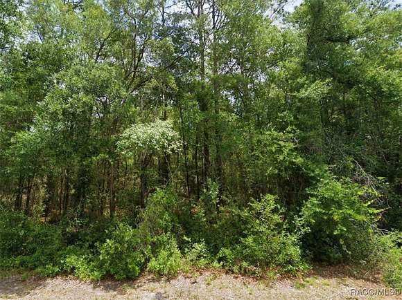 0.48 Acres of Residential Land for Sale in Dunnellon, Florida