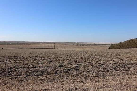 2.33 Acres of Land for Sale in Hereford, Texas