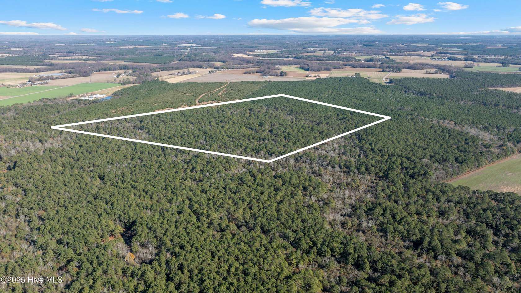 52.93 Acres of Agricultural Land for Sale in Newton Grove, North Carolina