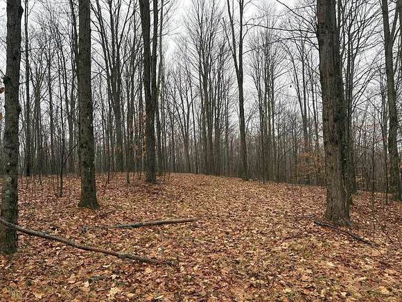 64 Acres of Recreational Land for Sale in Owego, New York