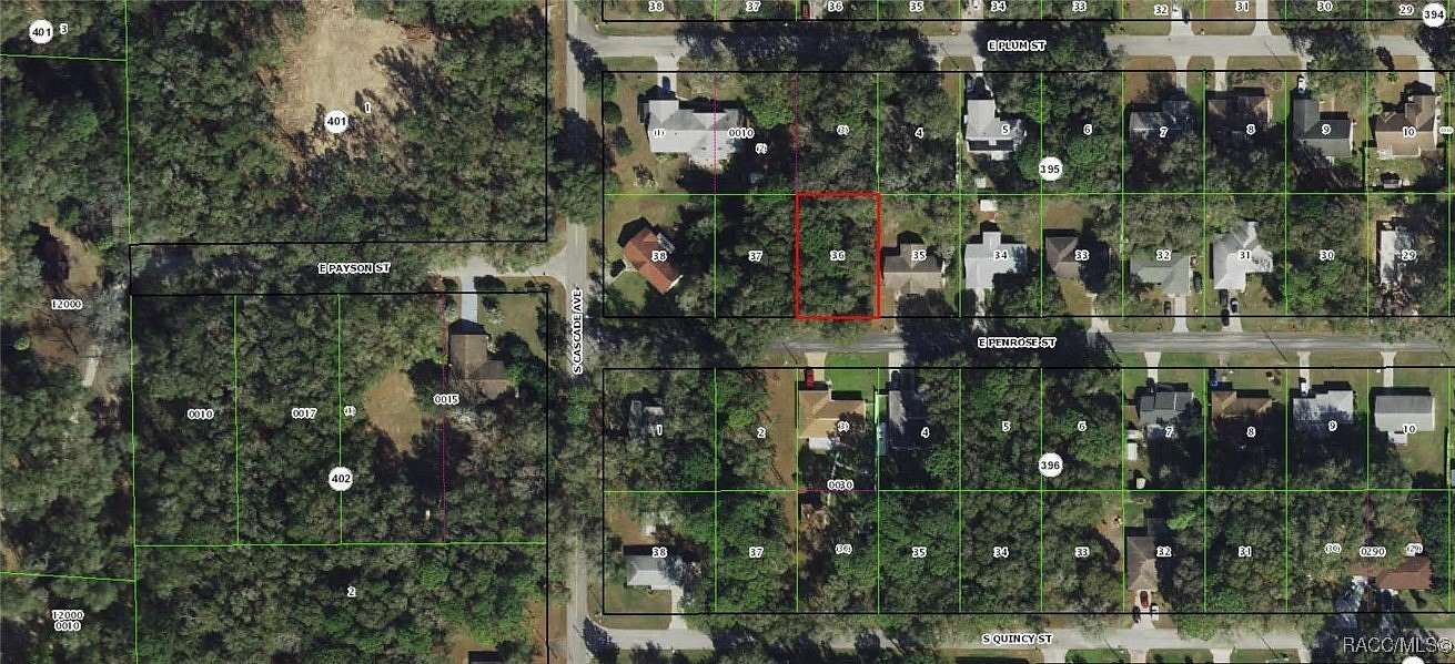 0.22 Acres of Residential Land for Sale in Inverness, Florida