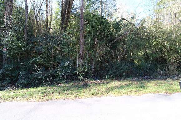 20 Acres of Land for Sale in Laurel, Mississippi