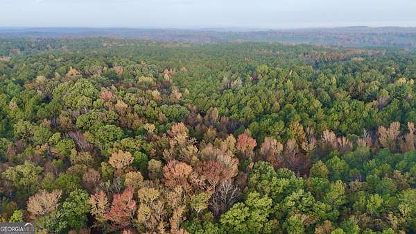 72.3 Acres of Recreational Land for Sale in Talbotton, Georgia