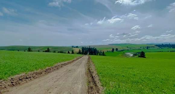 40 Acres of Agricultural Land for Sale in Spangle, Washington