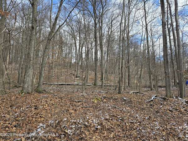 0.6 Acres of Residential Land for Sale in Tunkhannock, Pennsylvania