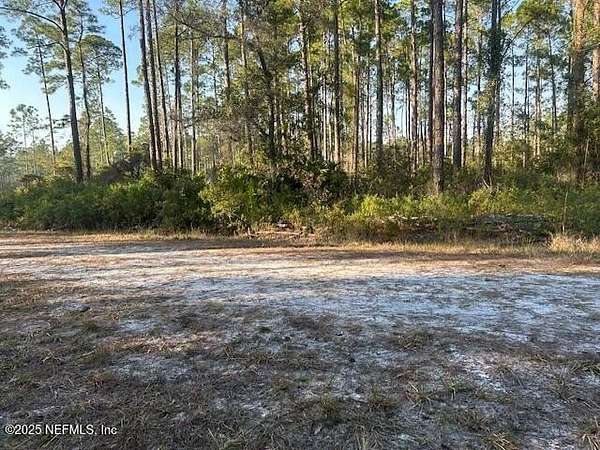 0.23 Acres of Land for Sale in Georgetown, Florida
