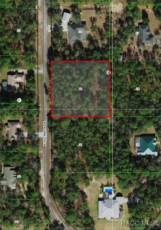 1.01 Acres of Residential Land for Sale in Lecanto, Florida