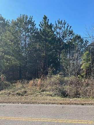 0.99 Acres of Commercial Land for Sale in Manning, South Carolina