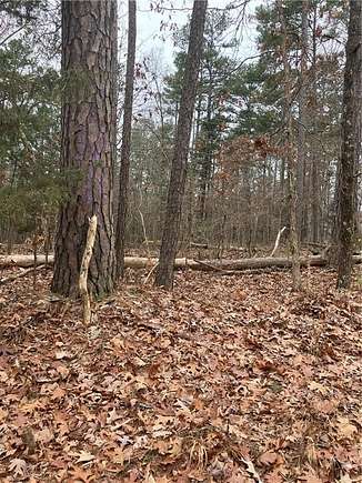 11 Acres of Recreational Land for Sale in Huntsville, Arkansas