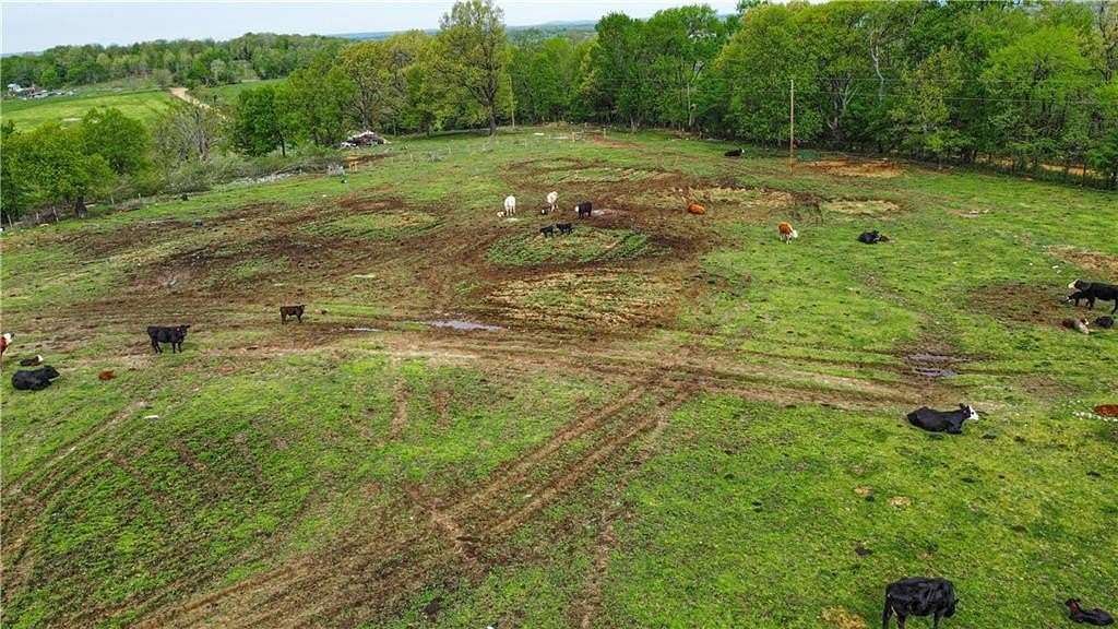 53 Acres of Improved Agricultural Land for Sale in Berryville, Arkansas