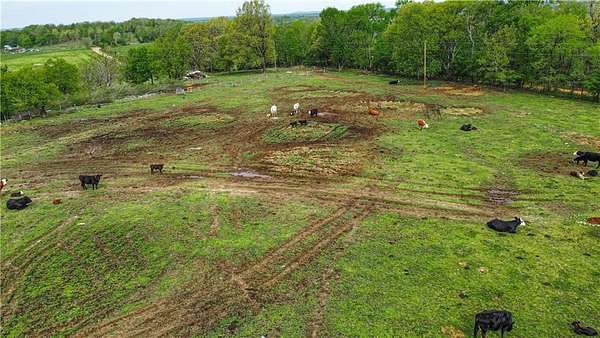 53 Acres of Improved Agricultural Land for Sale in Berryville, Arkansas