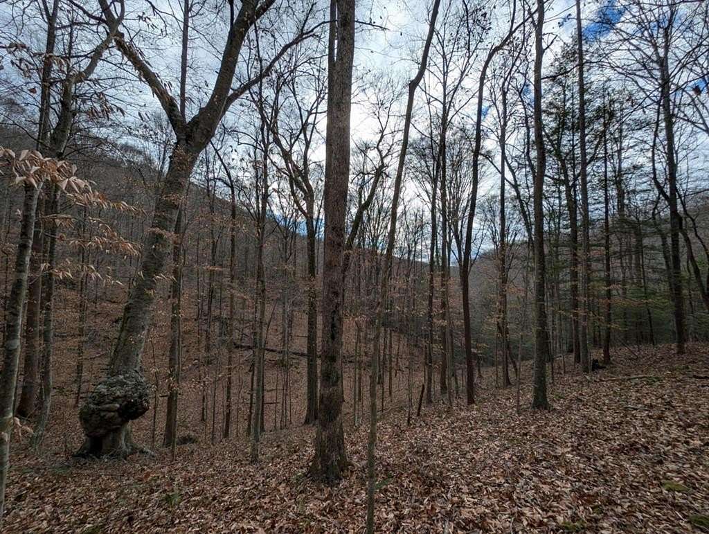 8.4 Acres of Residential Land for Sale in Jamestown, Tennessee