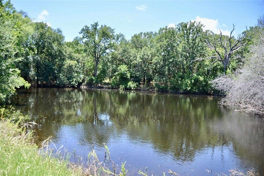 51 Acres of Land for Sale in Mullin, Texas