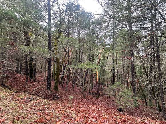 320 Acres of Recreational Land for Sale in Grants Pass, Oregon