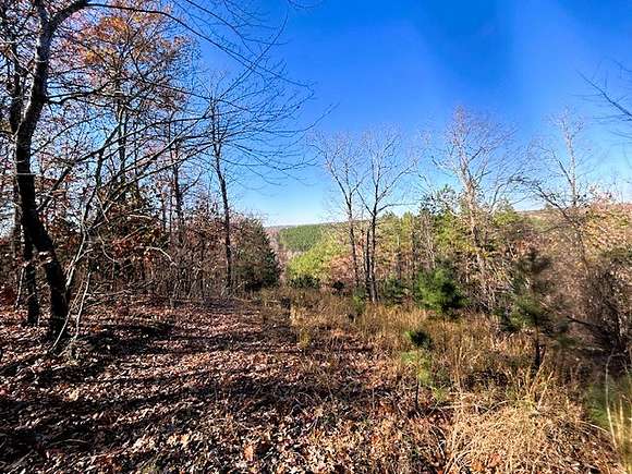 38 Acres of Recreational Land & Farm for Sale in Greers Ferry, Arkansas