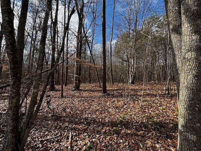 75.4 Acres of Land for Sale in Brookneal, Virginia