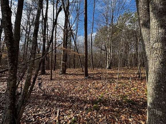 75.4 Acres of Land for Sale in Brookneal, Virginia