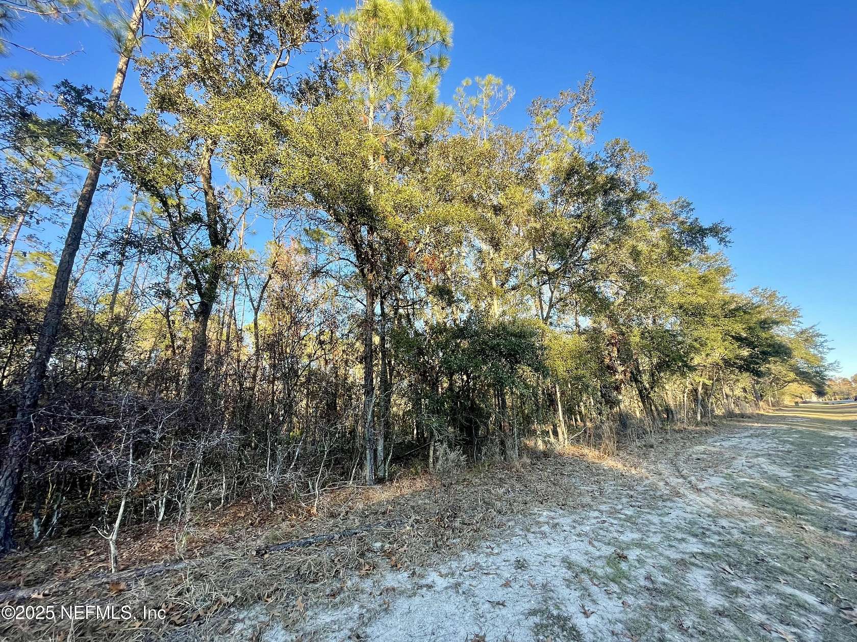 4.65 Acres of Residential Land for Sale in Bryceville, Florida