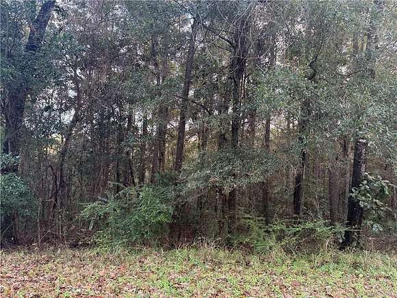 0.417 Acres of Residential Land for Sale in Mobile, Alabama