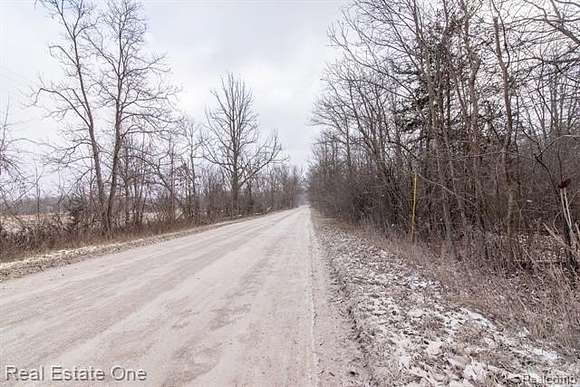 5 Acres of Residential Land for Sale in Whitmore Lake, Michigan