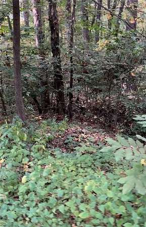 2 Acres of Residential Land for Sale in Acworth, Georgia