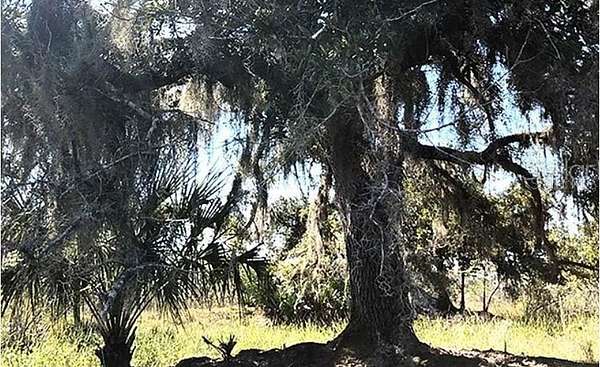 1.26 Acres of Land for Sale in Lake Wales, Florida