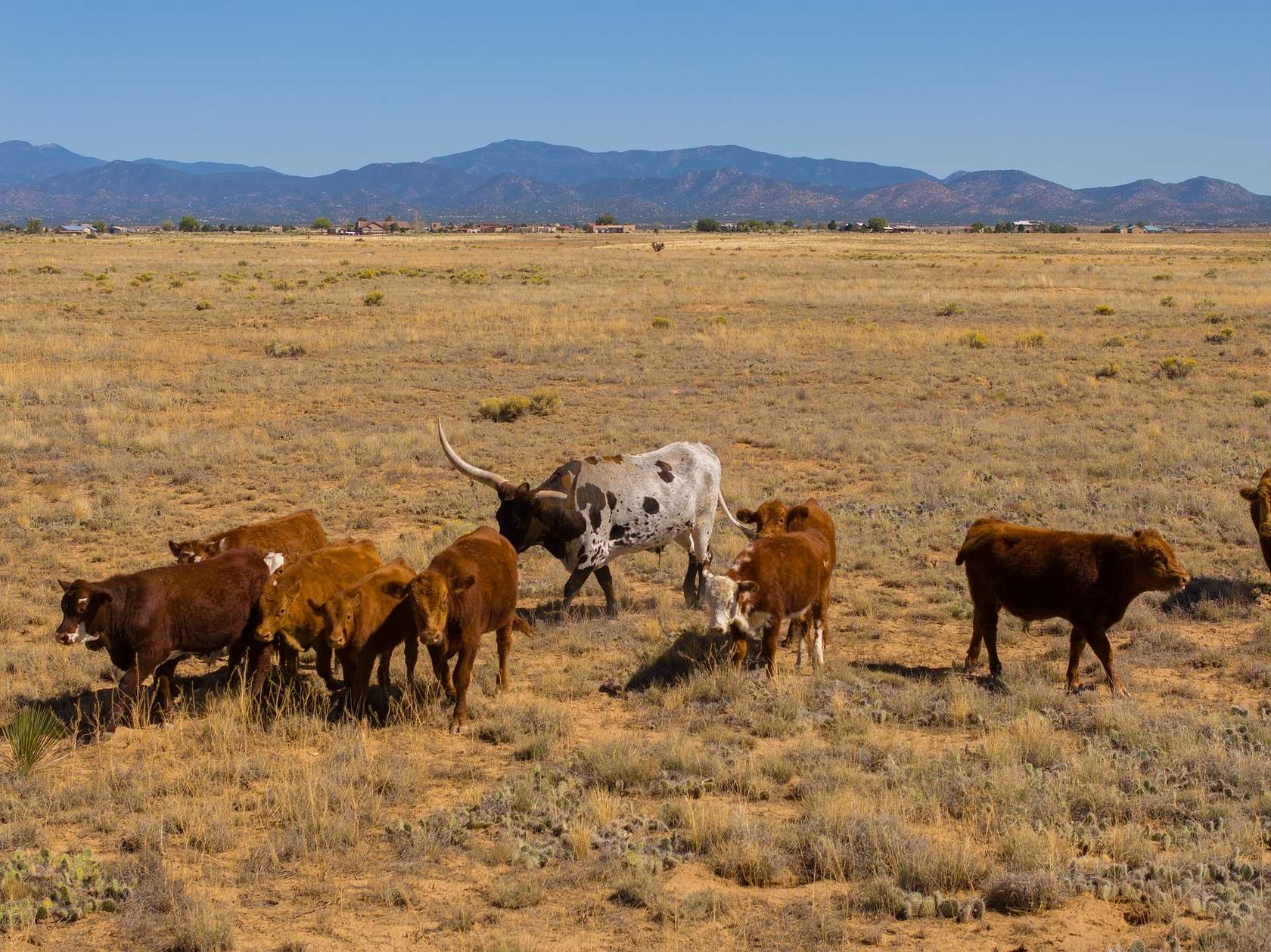 265.87 Acres of Land for Sale in Santa Fe, New Mexico