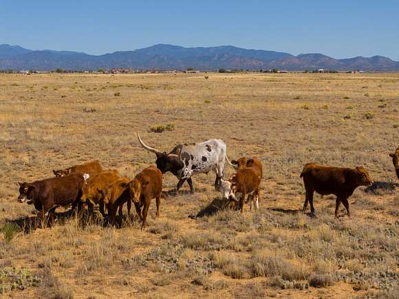 265.87 Acres of Land for Sale in Santa Fe, New Mexico