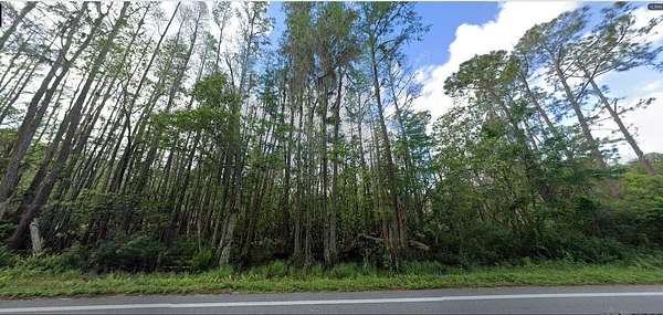 1.25 Acres of Land for Sale in Polk City, Florida