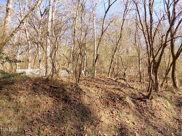 11.2 Acres of Land for Sale in Rogersville, Tennessee