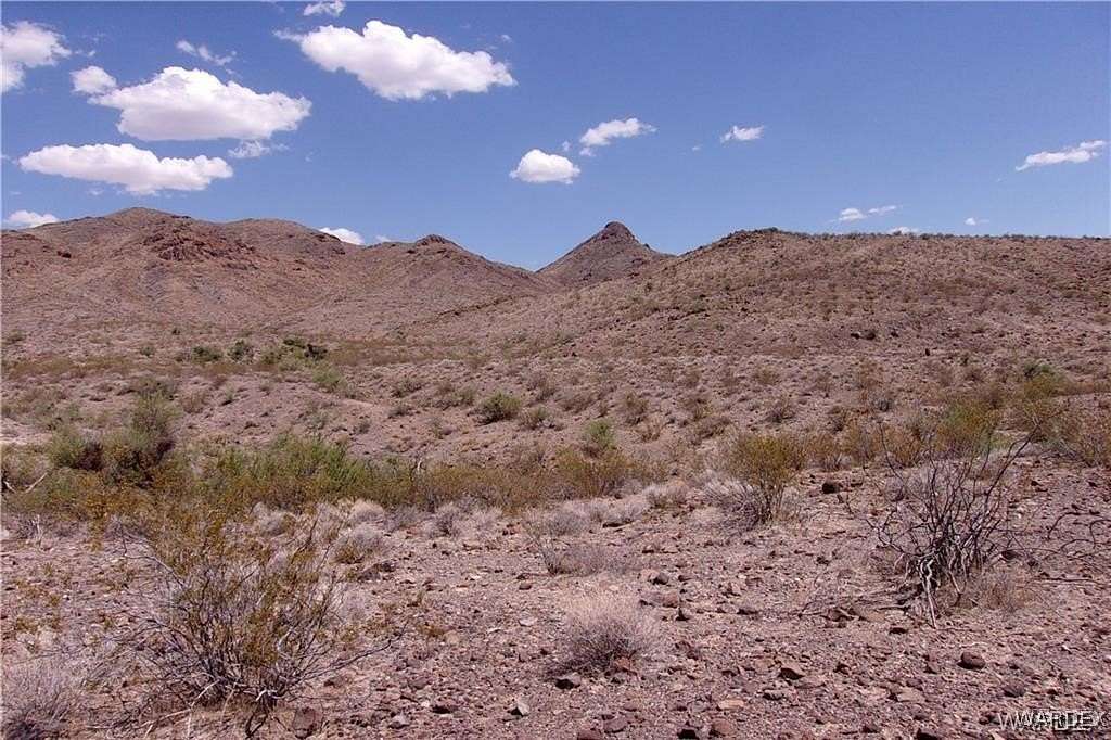 41.5 Acres of Agricultural Land for Sale in Dolan Springs, Arizona