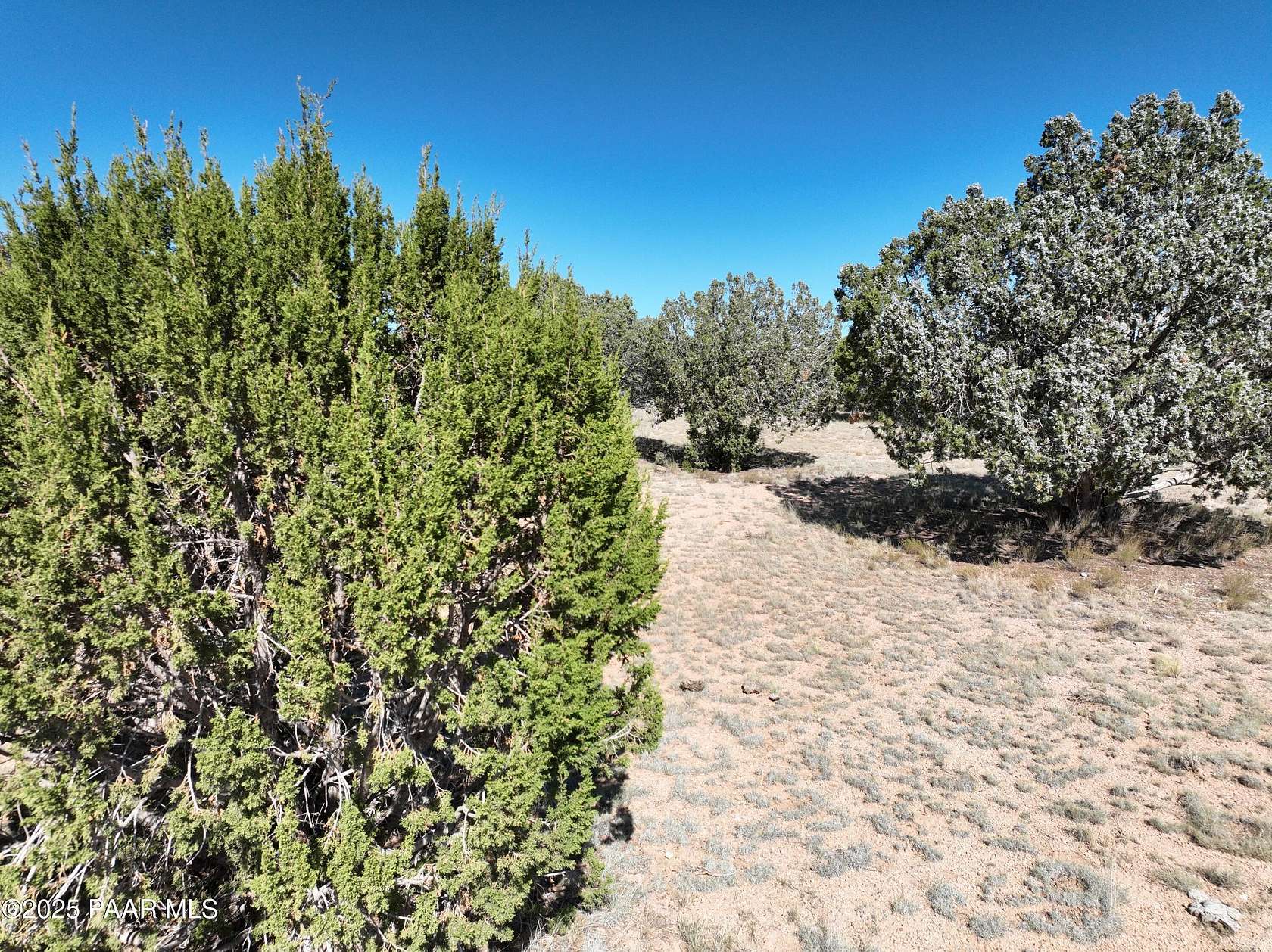 5 Acres of Residential Land for Sale in Seligman, Arizona