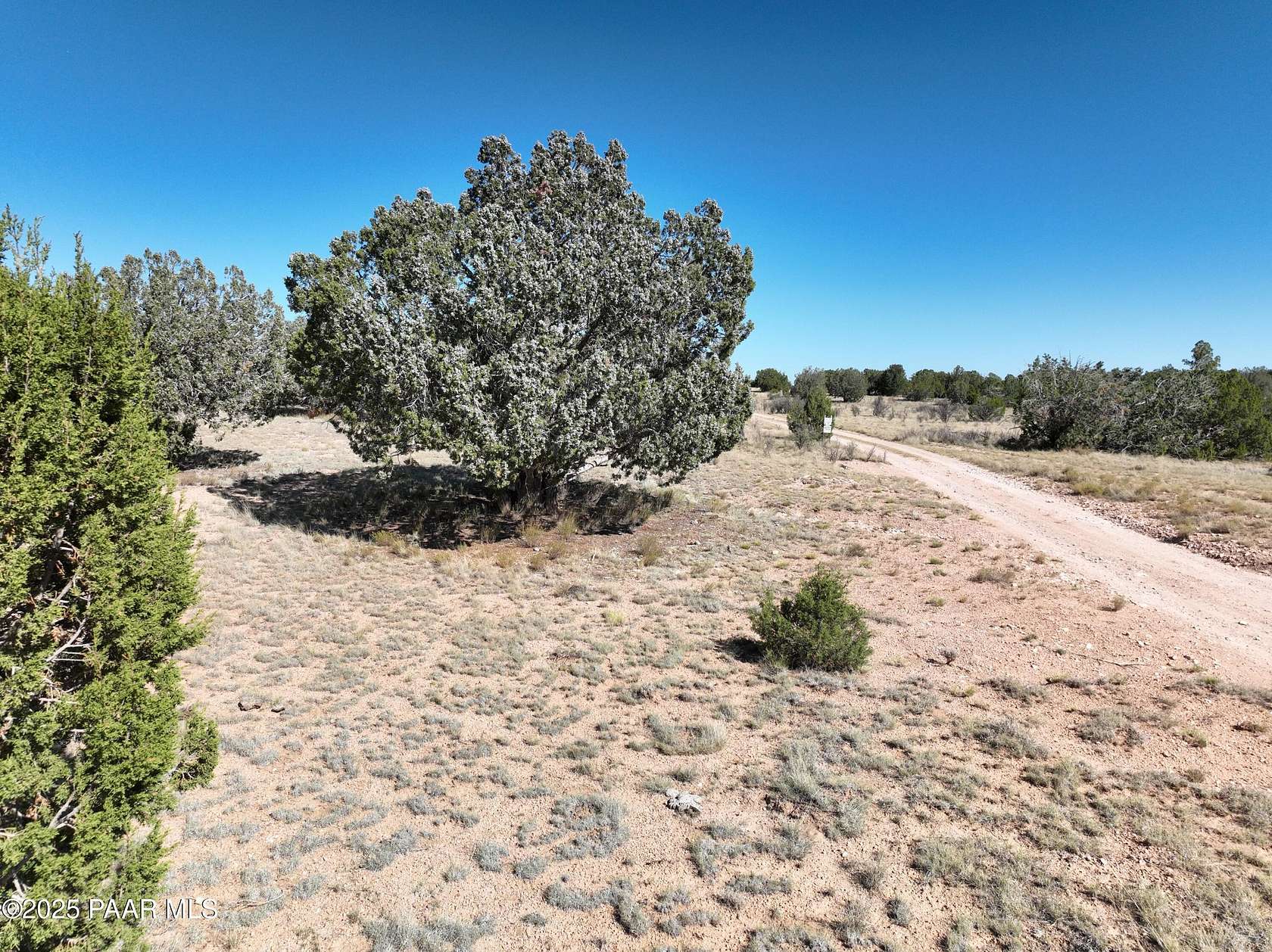 20 Acres of Land for Sale in Seligman, Arizona