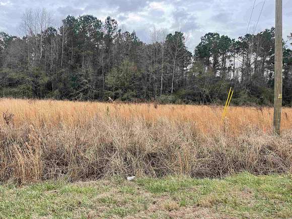 3.28 Acres of Residential Land for Sale in Nichols, South Carolina