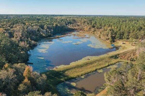 324.3 Acres of Recreational Land for Sale in Cairo, Georgia