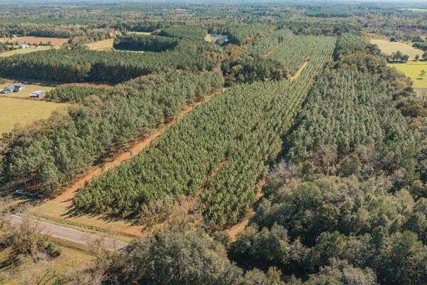 81.71 Acres of Recreational Land for Sale in Cairo, Georgia