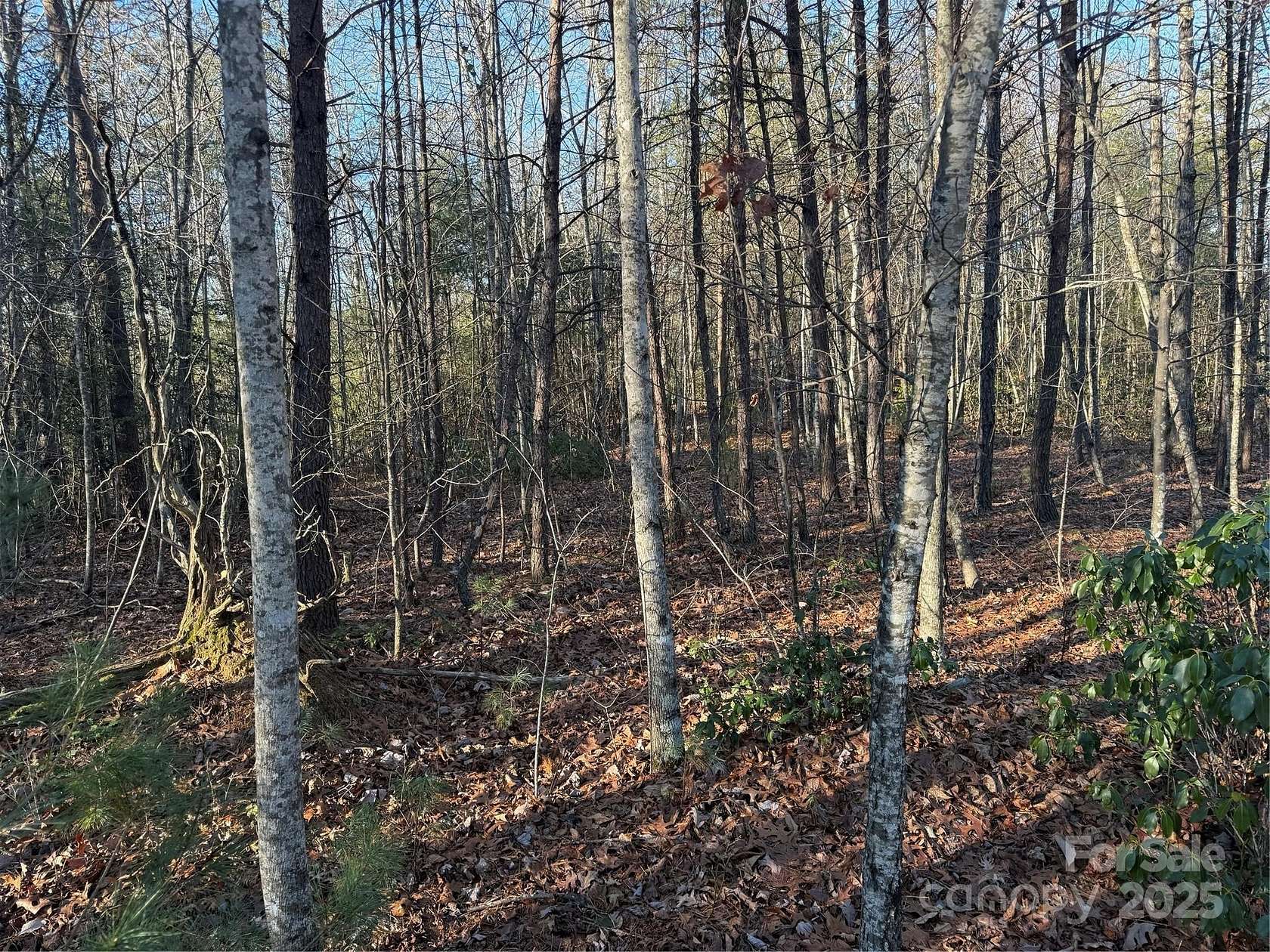 1 Acre of Land for Sale in Nebo, North Carolina