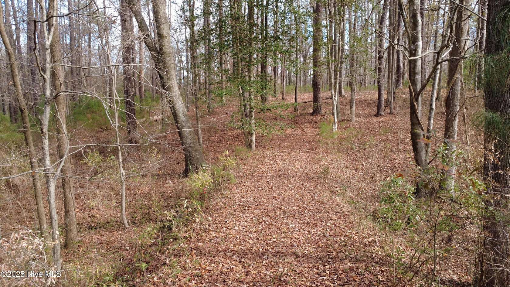 1.78 Acres of Residential Land for Sale in Chocowinity, North Carolina