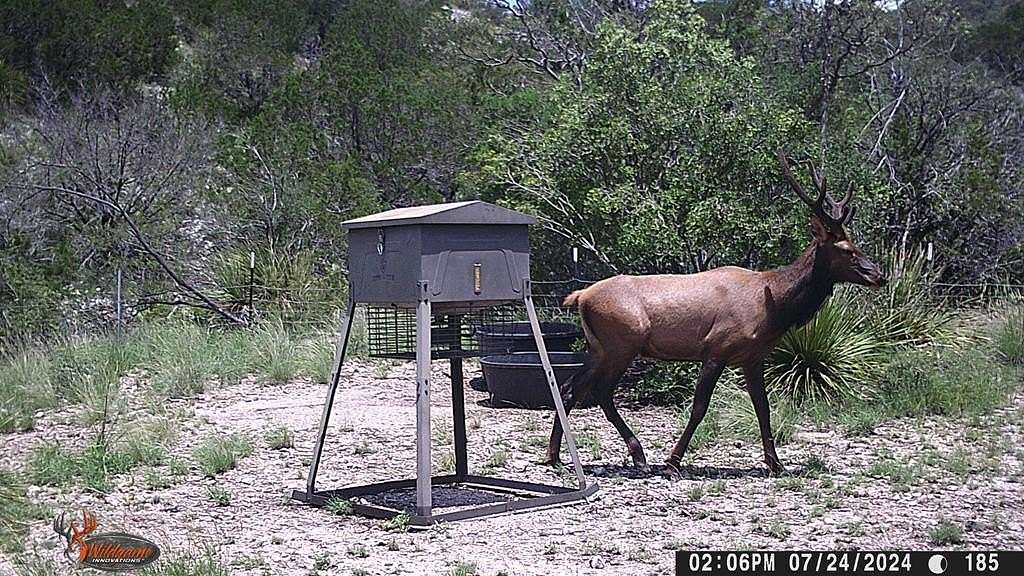 149 Acres of Recreational Land for Sale in Rocksprings, Texas