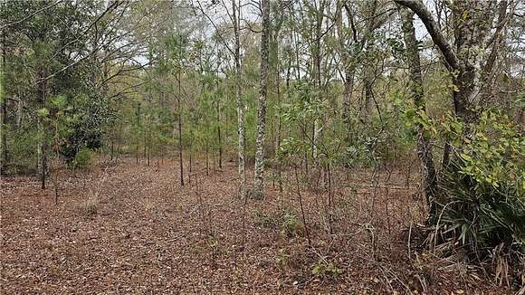 1.23 Acres of Residential Land for Sale in Nahunta, Georgia