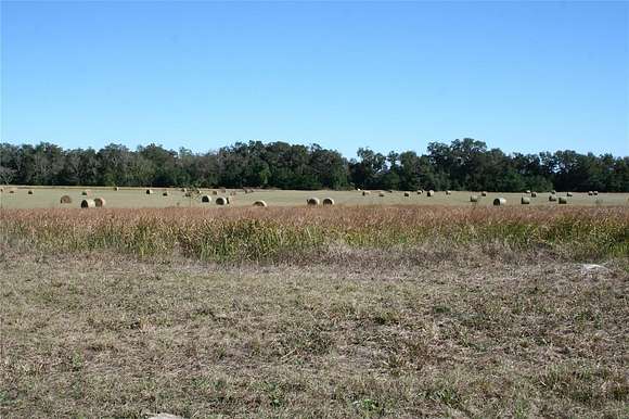 10 Acres of Land for Sale in Summerfield, Florida