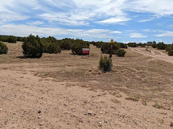 10 Acres of Residential Land for Sale in Ribera, New Mexico