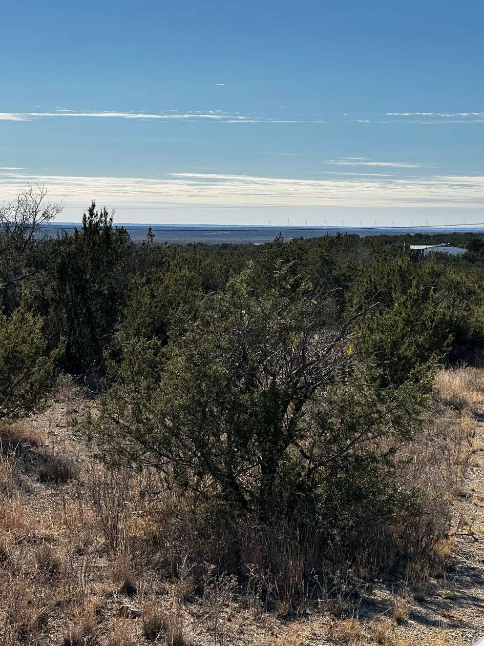 8.76 Acres of Residential Land for Sale in Paint Rock, Texas