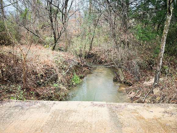 56.7 Acres of Recreational Land for Sale in Magnolia, Alabama