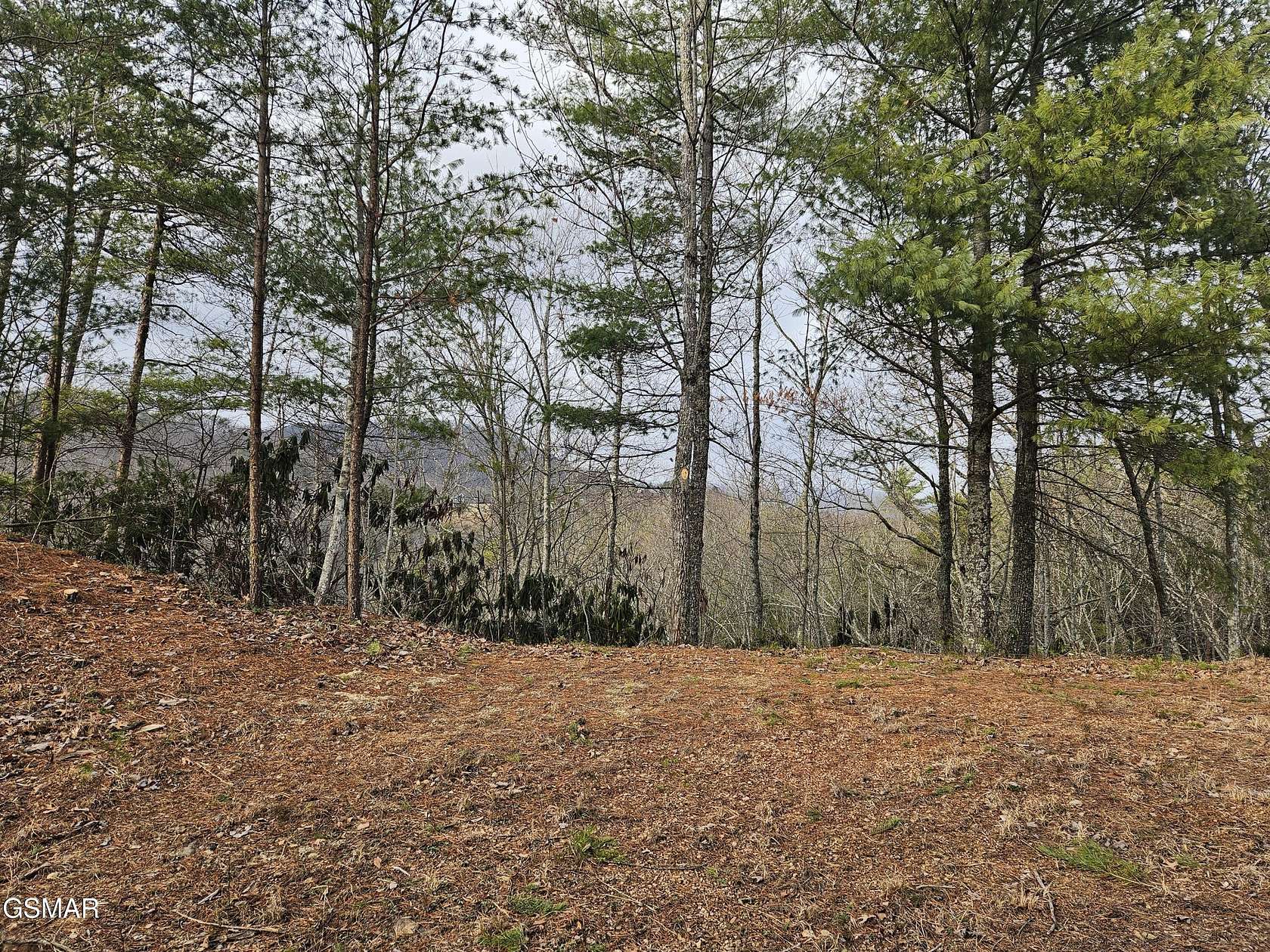 5.59 Acres of Residential Land for Sale in Sevierville, Tennessee